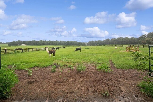 Building Photo - 35520 Timbertop Ln