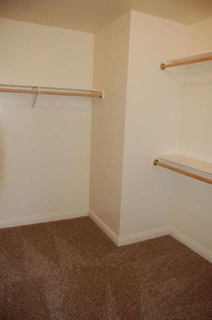 Building Photo - 3206 Elephant Dr