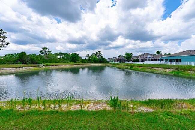 Building Photo - 4/3.5 in Wesley Chapel!