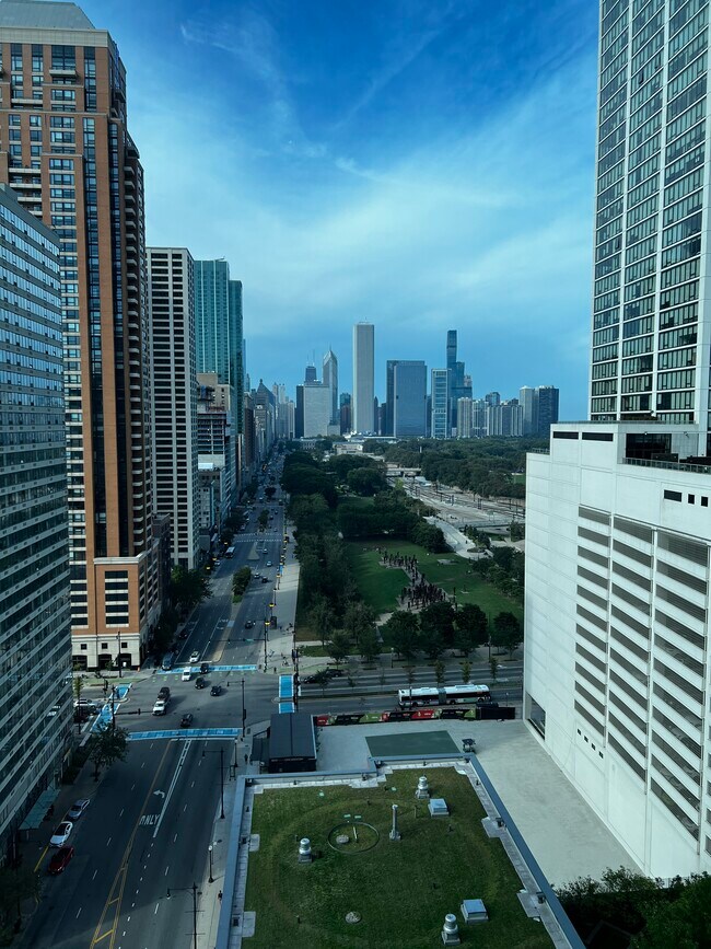 Building Photo - 1250 S Michigan Ave