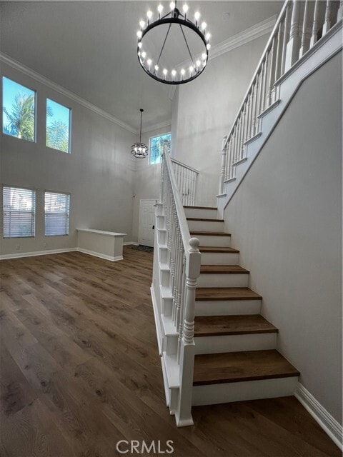 Building Photo - 19 Bronco St