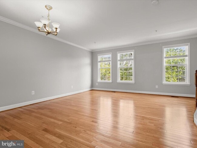 Building Photo - 563 Pelican Ave