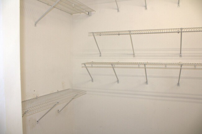 Building Photo - 3/2/3 Spring Hill Home