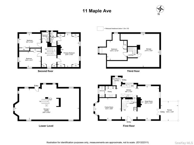 Building Photo - 11 Maple Ave
