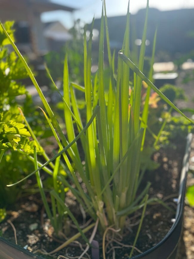 Building Photo - Karin's Kottage-New 2 Bedroom/2 Bath Furnished or Unfurnished Oasis for Lease