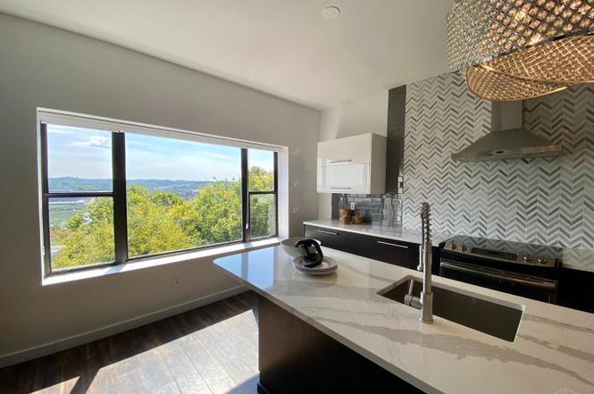 View from Kitchen - 1005 Hill St