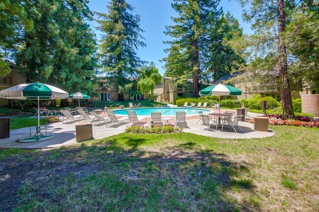 Building Photo - Beautiful 2BR 2BA downstairs condo in Moun...