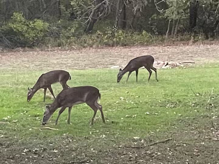 Building Photo - Room in House on Copper Hills Dr