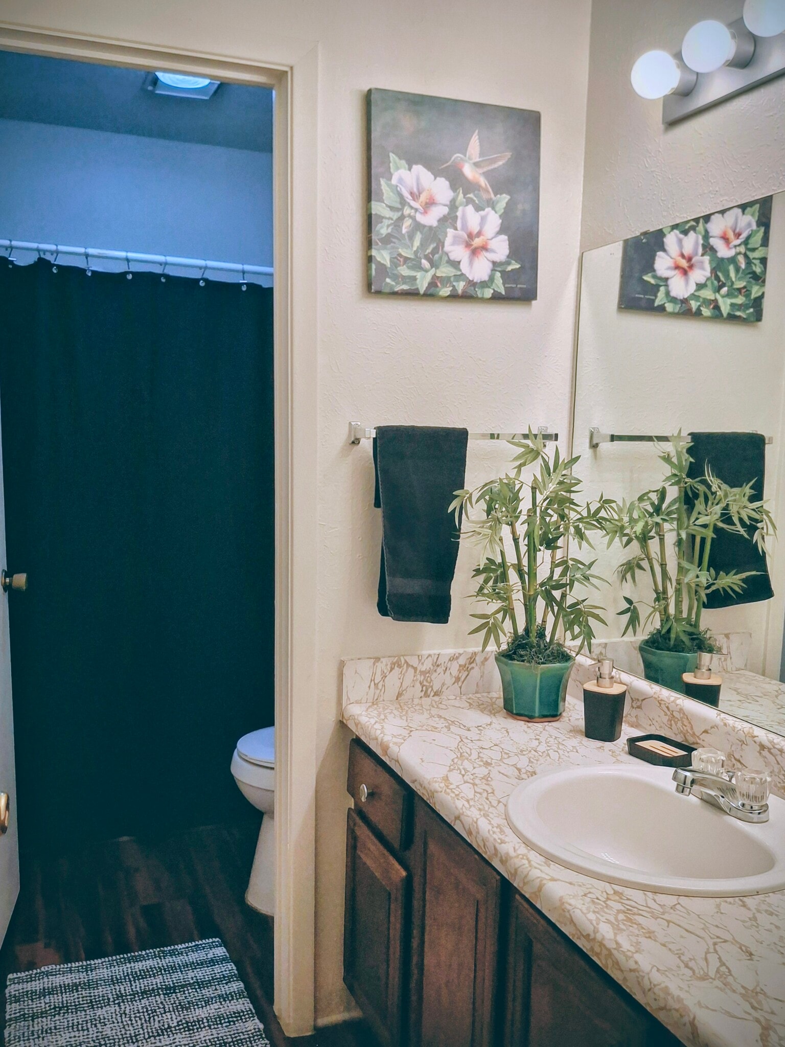 Building Photo - 1409 Paseo del Oro