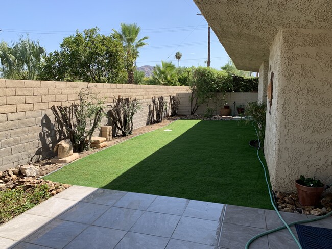 Back yard and 2 tiles patios - 1111 E Ramon Rd