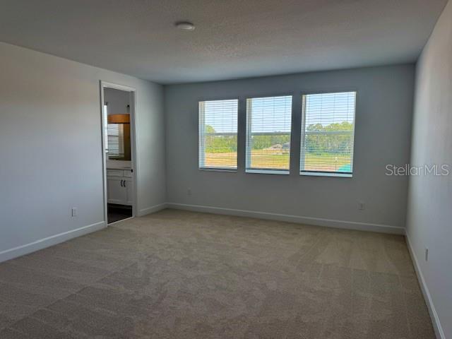 Building Photo - 16851 Muskgrass Dr