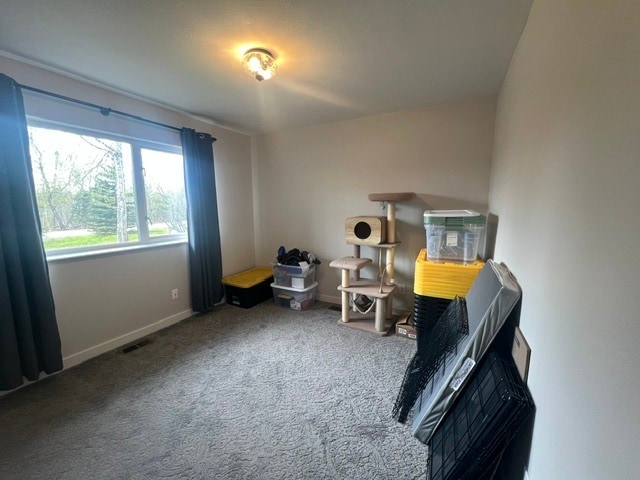 Building Photo - 3741 N Snow Goose Dr
