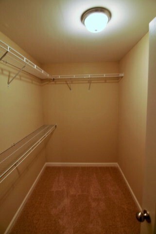 Building Photo - 833 Erika Ln