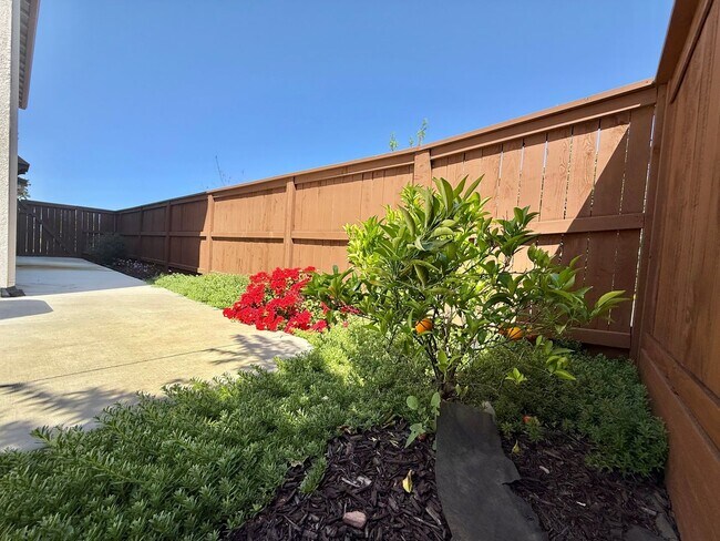 Building Photo - 1561 Osborn Dr