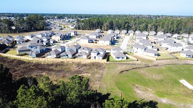 Building Photo - 247 Brazen Forest Trl