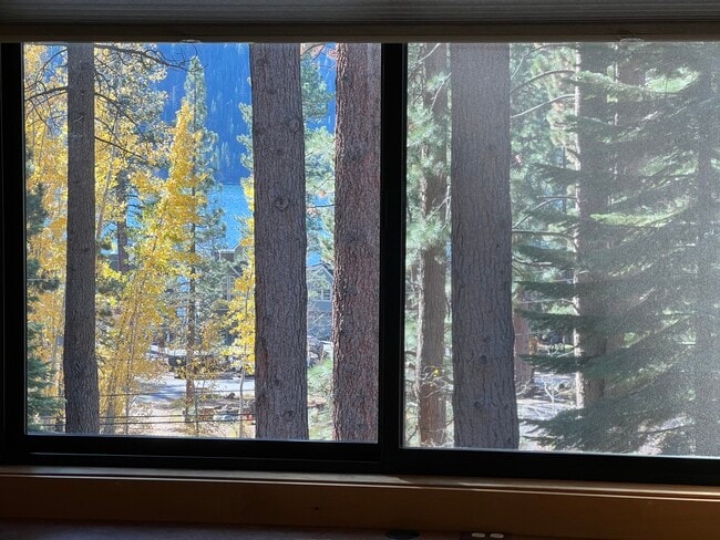 Building Photo - 13765 Mogul Way