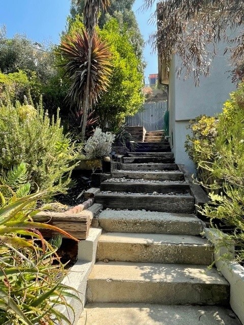 Back Yard - 2152 Echo Park Ave