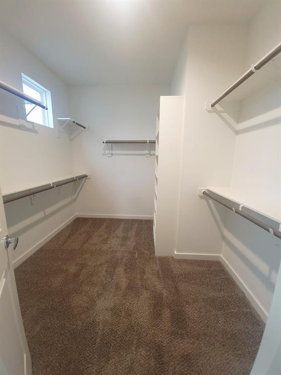 Building Photo - 1204 Highland Vineyard Ln