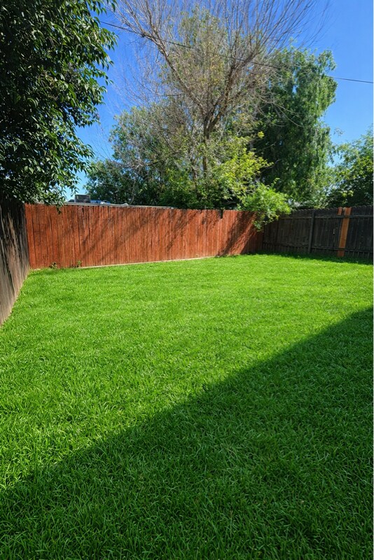 Building Photo - 2123 Down St