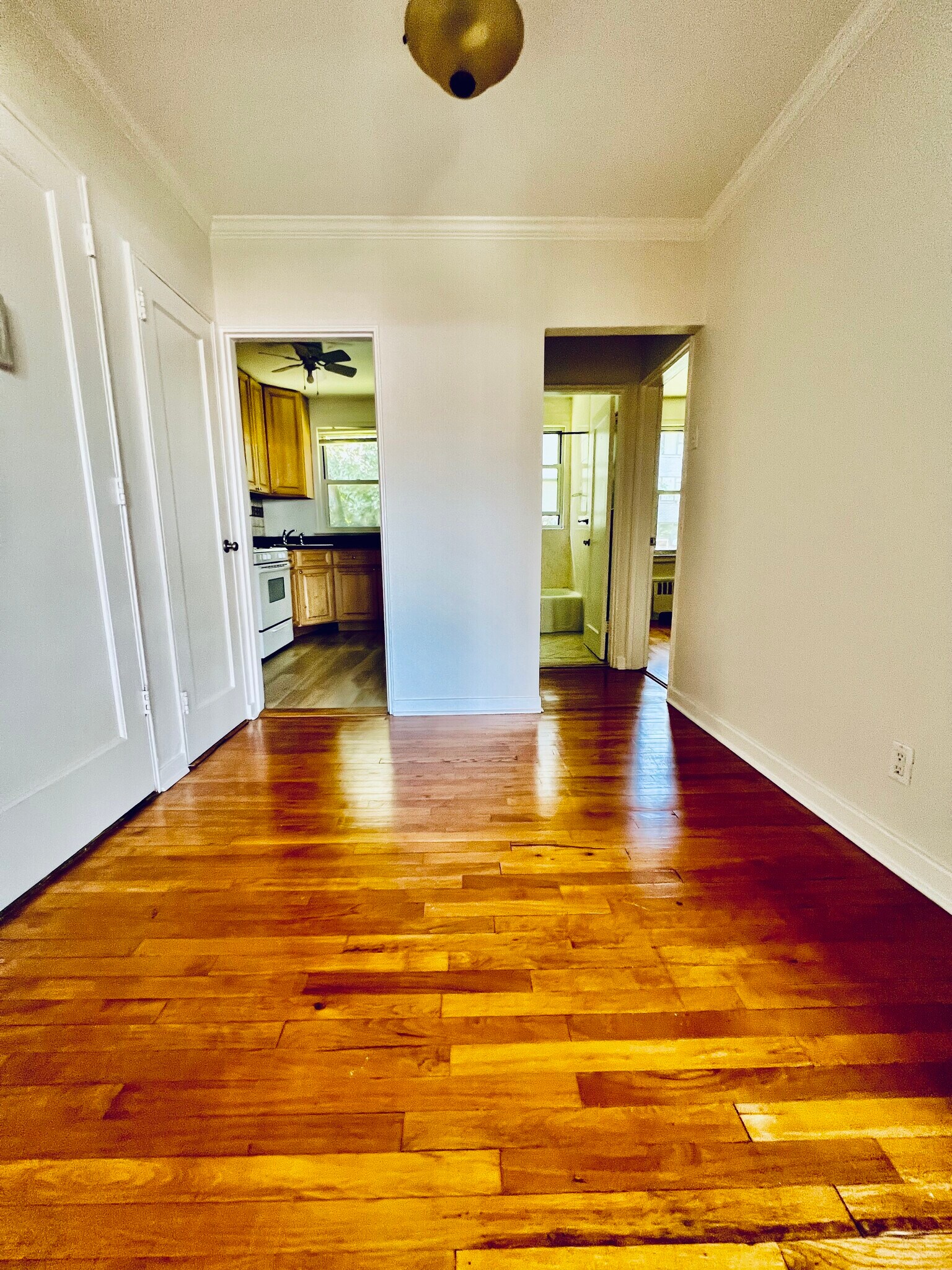 Hallway - 11 Stokes Rd