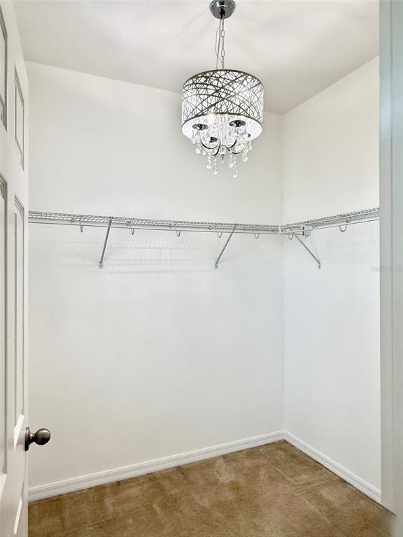 Building Photo - 619 Fortanini Cir