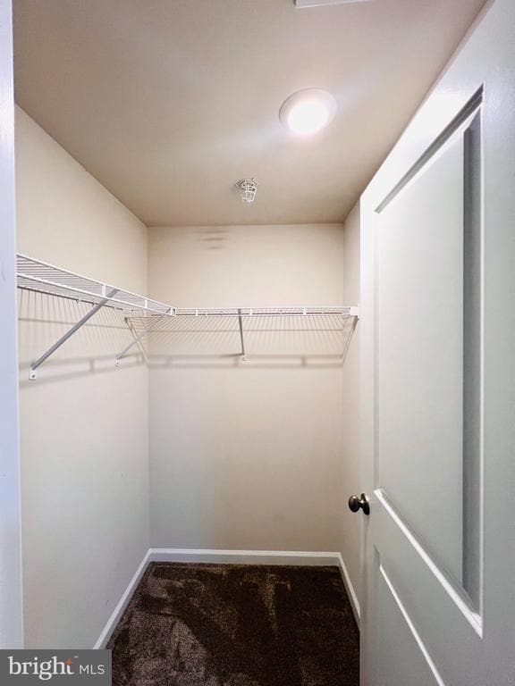 Building Photo - 9875 Selkie Ln