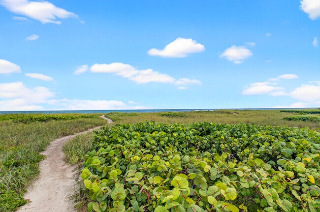 Building Photo - 817 N Ocean Blvd