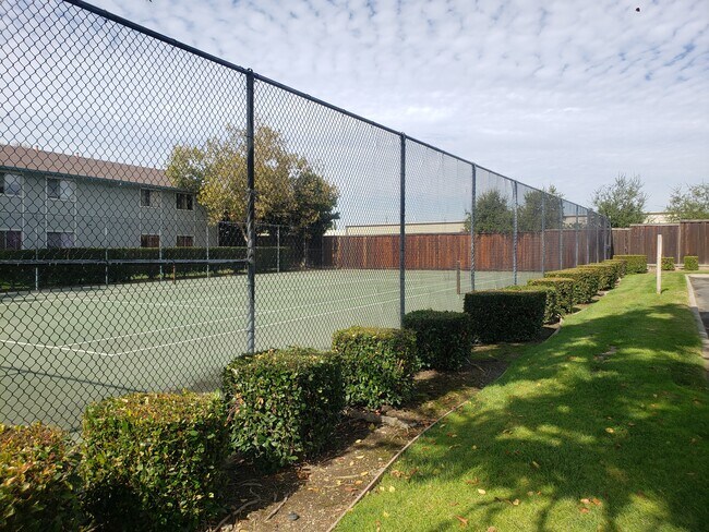 Building Photo - 3646 Silver Oaks Way