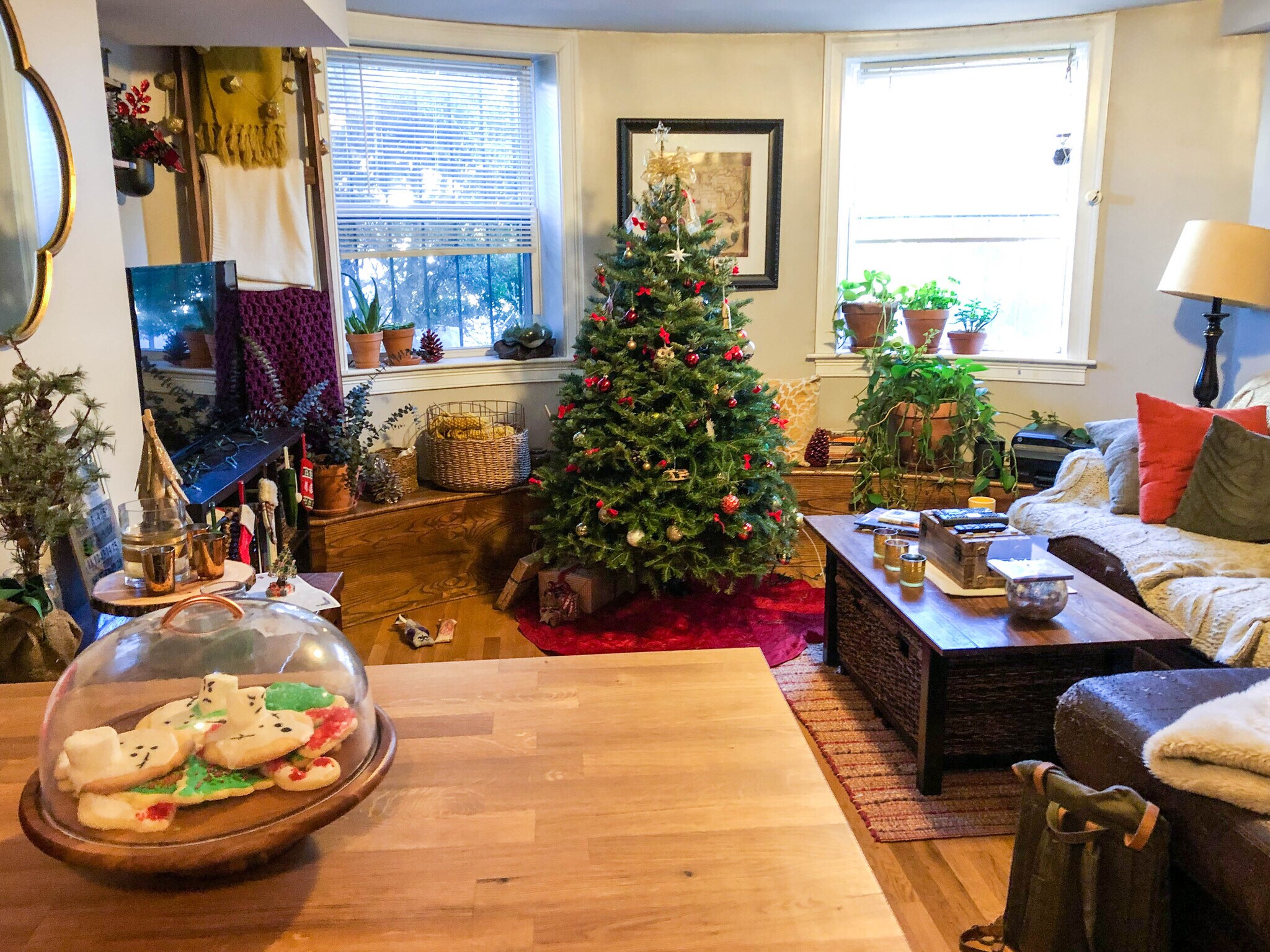 Building Photo - 23 Saint Lukes Rd