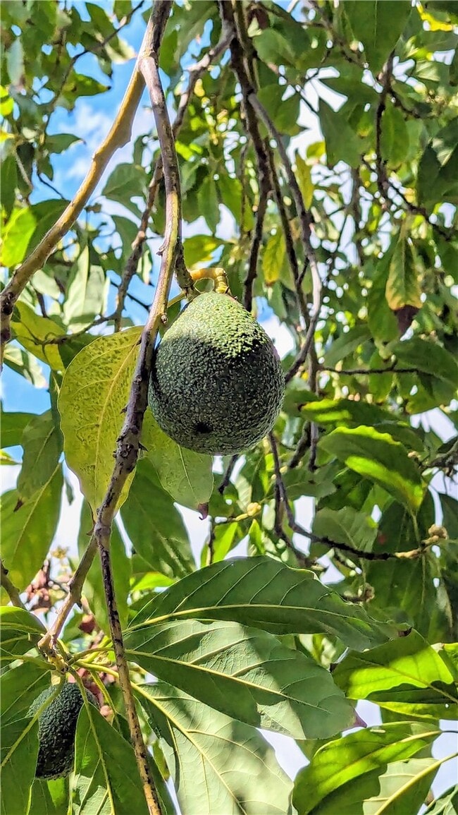 Building Photo - 1826 Front St