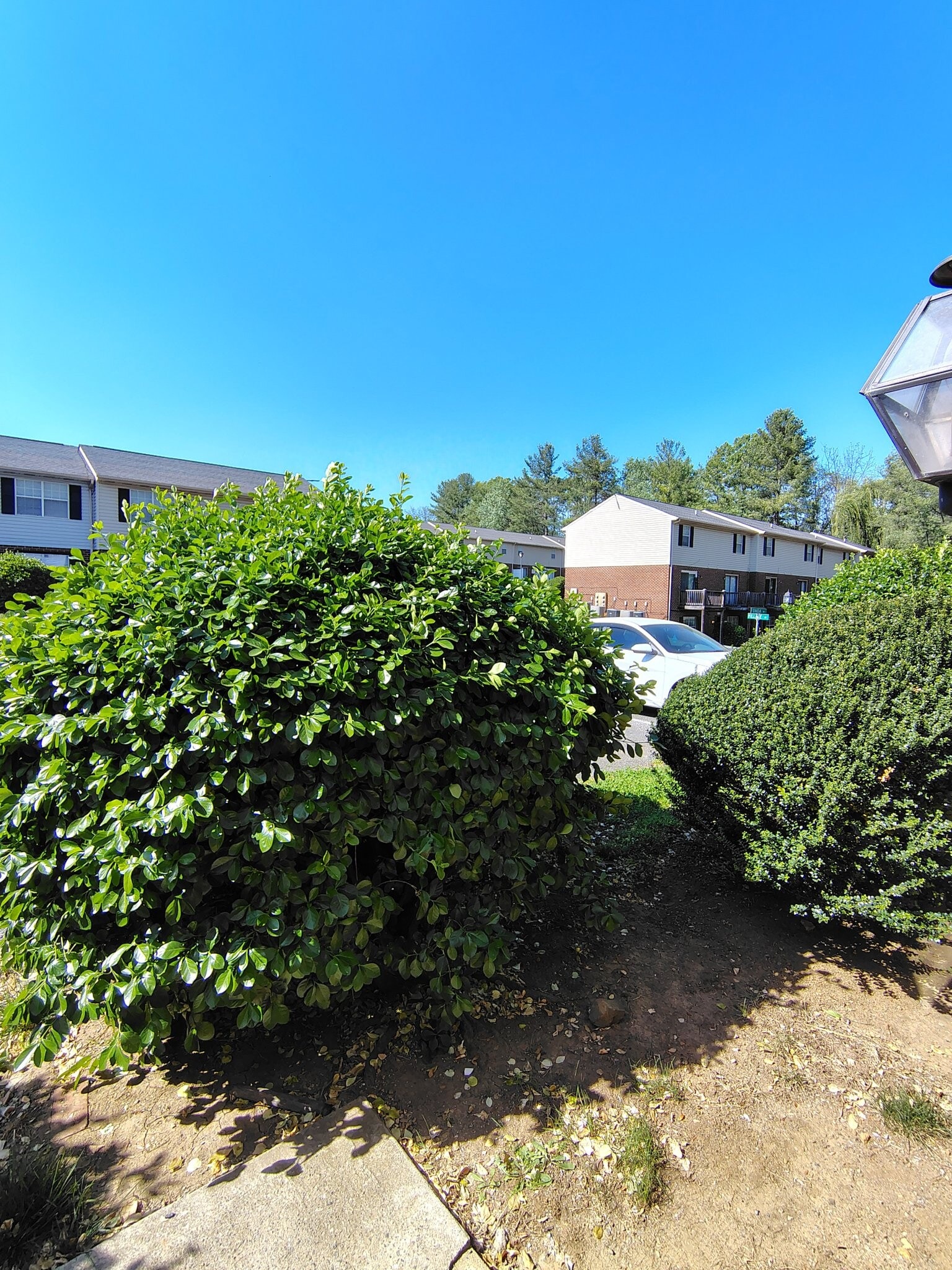 Building Photo - 30 Fonda Dr