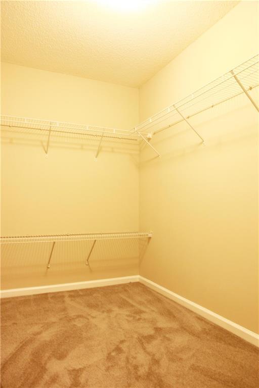 Building Photo - 9769 Palmeston Pl