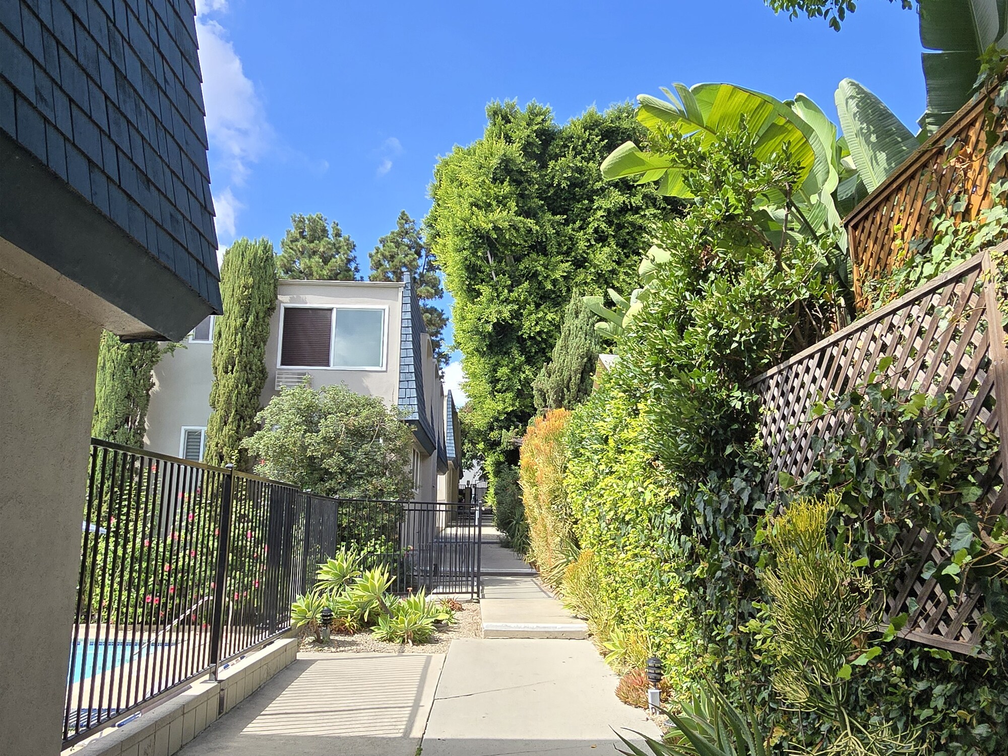 Common Area - 972 Larrabee St