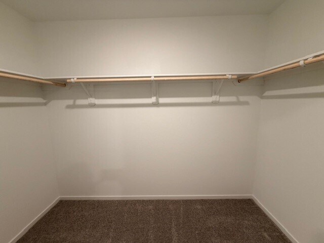 Building Photo - 31436 Casacalenda Ln