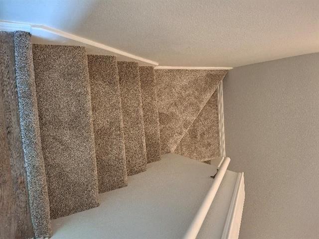 Building Photo - 4506 Alamosa St