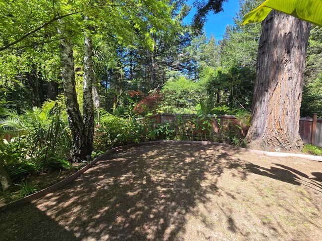 Building Photo - Large and stunning home in rural Sebastopol!