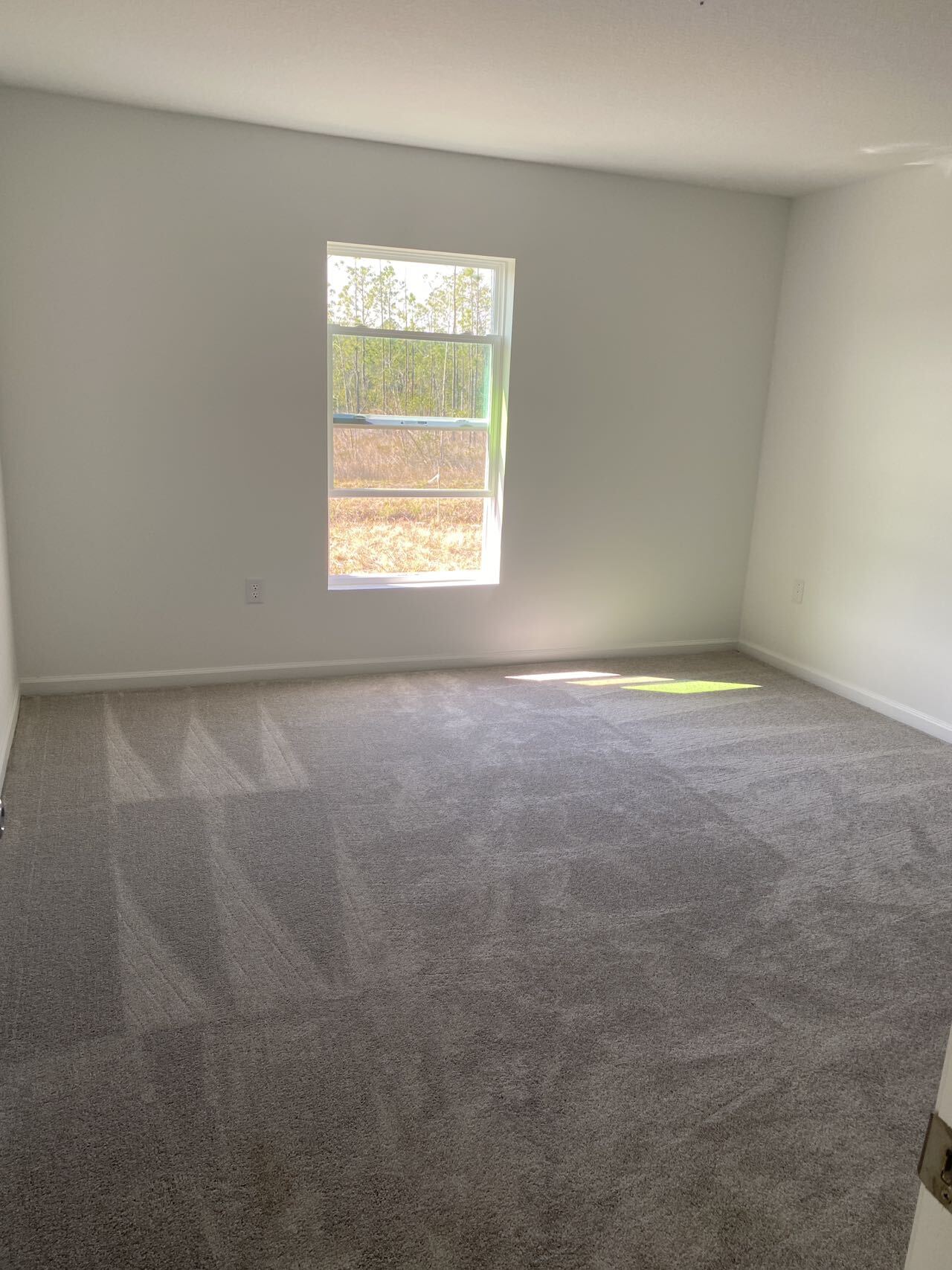 Building Photo - 2316 Green Valley St