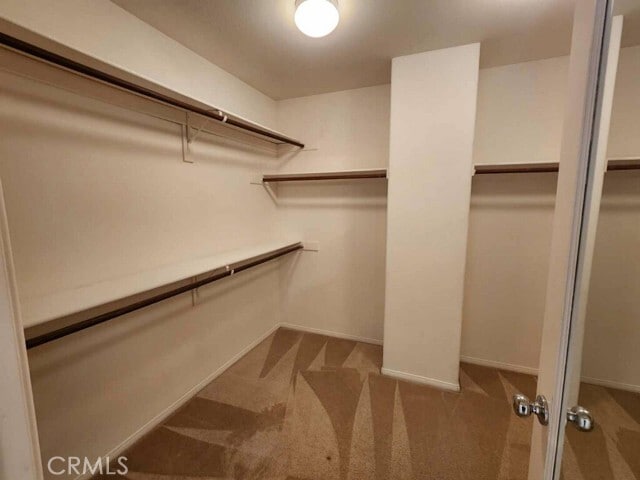 Building Photo - 13748 Andean Ct