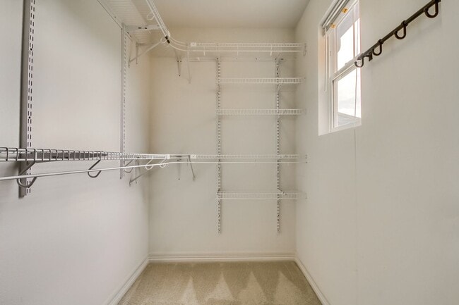 Building Photo - Beautiful 3 bedroom townhome in Central Park (Stapleton) Neighborhood