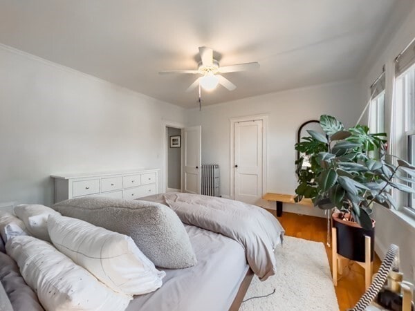 Building Photo - 23 Goldsmith St