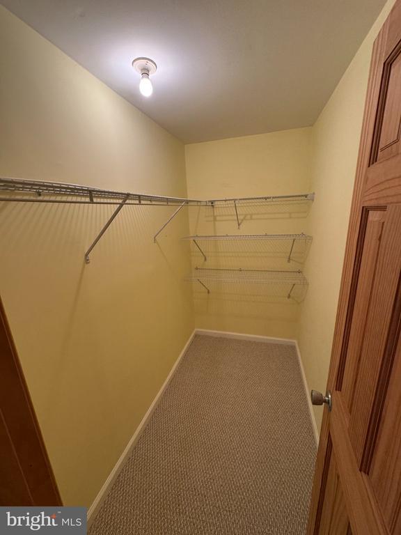 Building Photo - 11717 Happy Choice Ln