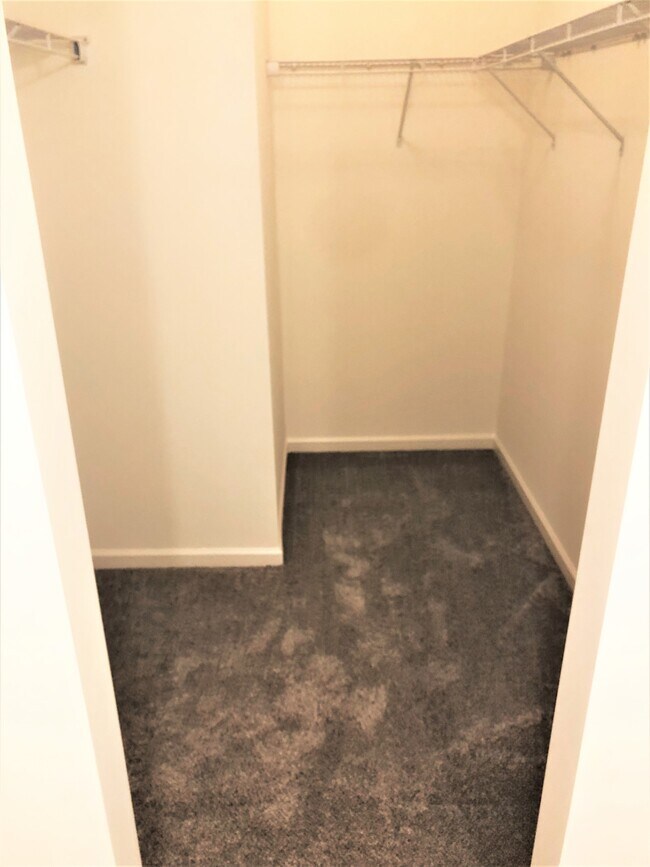 Spacious Master walk-in closet - 113 Brookshire Ln