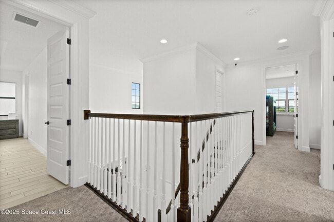 Building Photo - 3233 Casare Dr