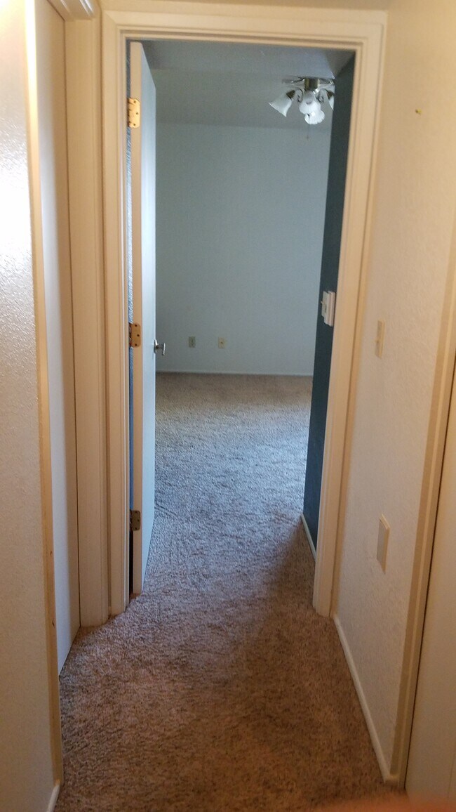 Building Photo - 3857 N Paseo de las Canchas