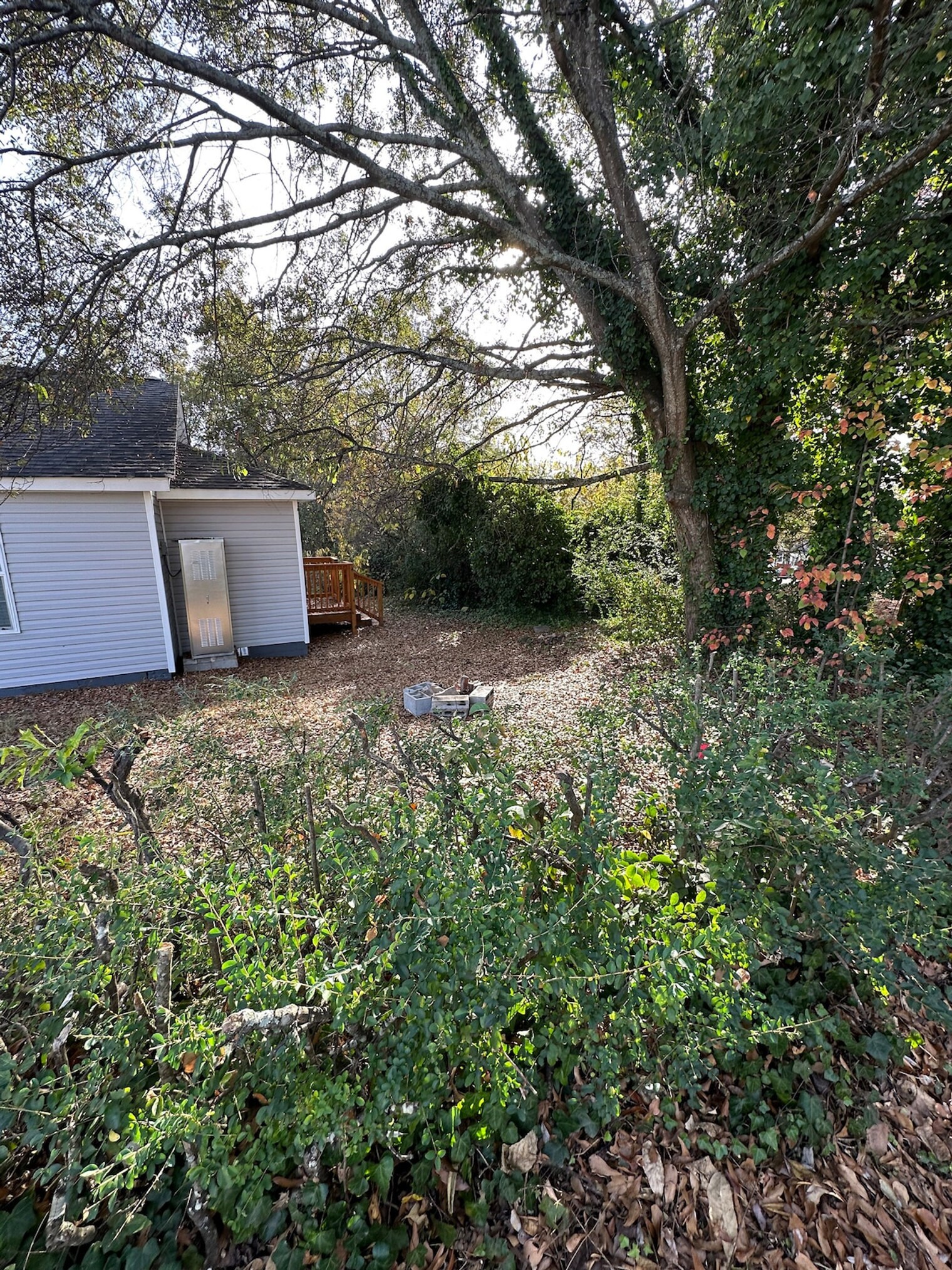 Building Photo - 121 Forest St