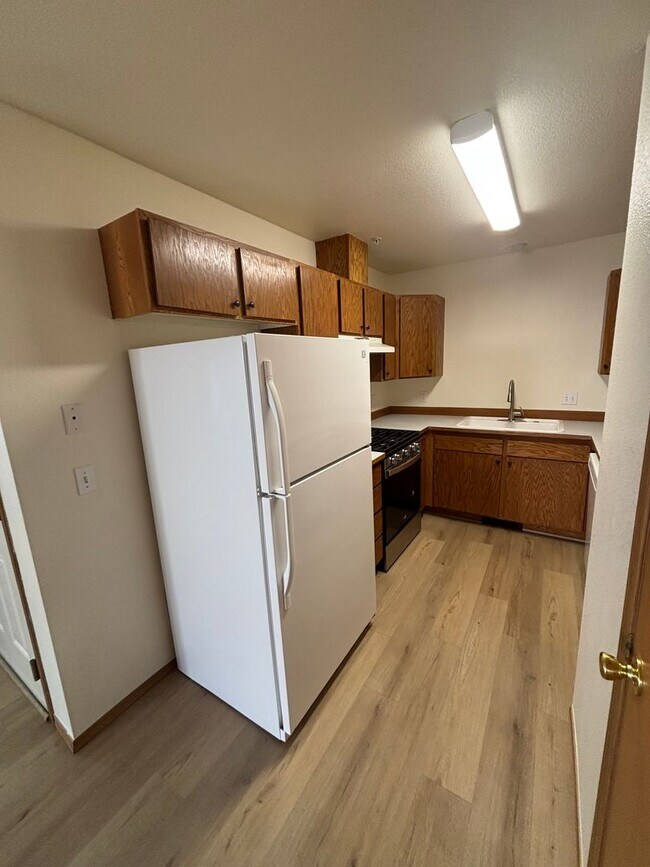 Building Photo - 211 N Lava