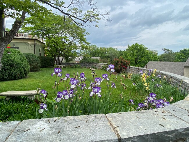 Building Photo - 2 Waverley Green