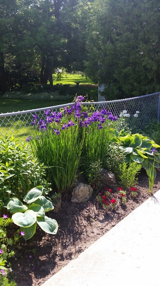 Flowers along driveway - 135 Ridge Ct