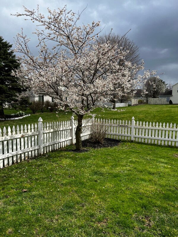 Building Photo - 9240 Crossing Dr