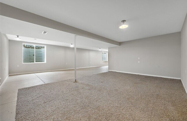 Basement - 2815 44th St